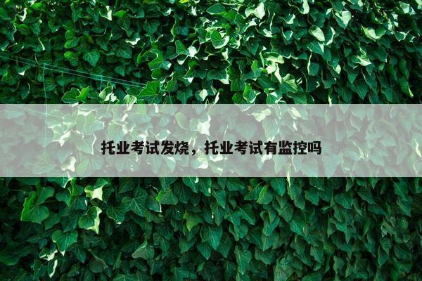 托业考试发烧,托业考试有监控吗 托业考试发烧,托业考试有监控吗