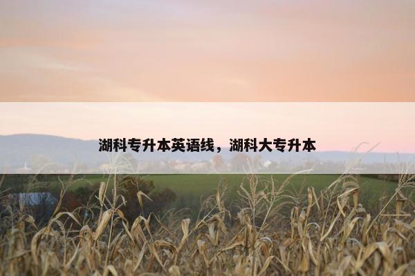 湖科专升本英语线，湖科大专升本