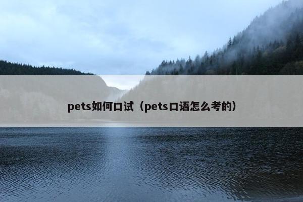 pets如何口试（pets口语怎么考的）