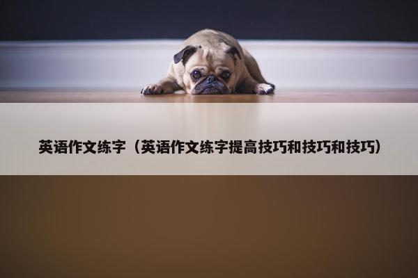 英语作文练字（英语作文练字提高技巧和技巧和技巧）
