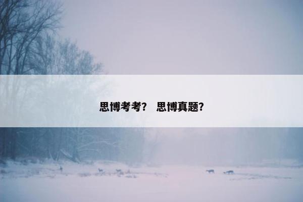 思博考考？ 思博真题？
