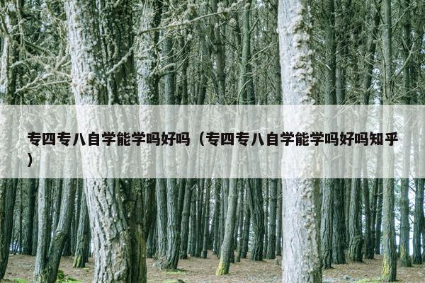 专四专八自学能学吗好吗（专四专八自学能学吗好吗知乎）