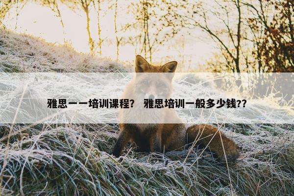 雅思一一培训课程？ 雅思培训一般多少钱?？