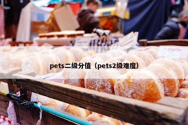 pets二级分值（pets2级难度）