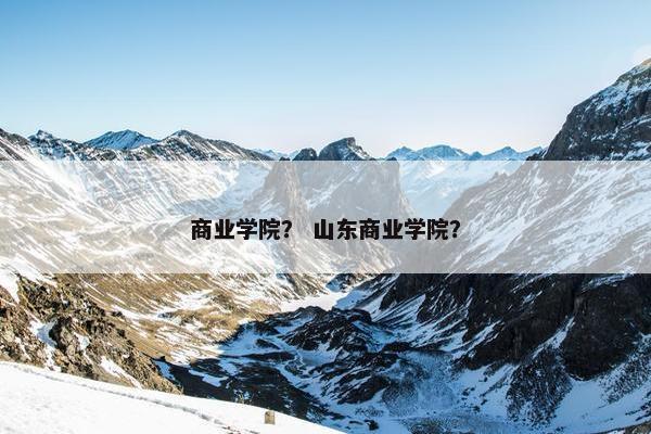 商业学院？ 山东商业学院？