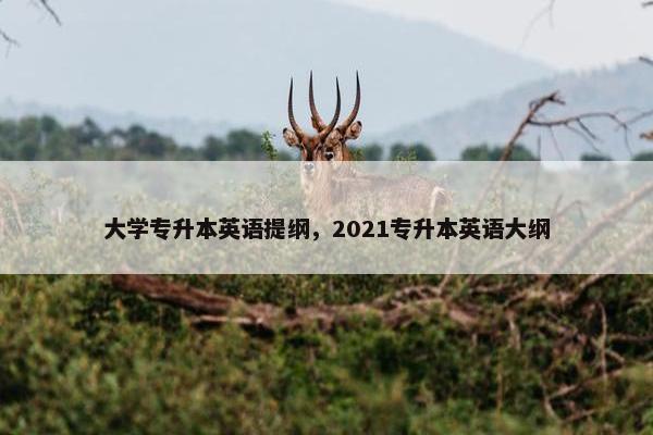 大学专升本英语提纲，2021专升本英语大纲