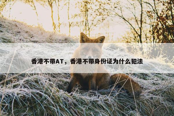 香港不带AT，香港不带身份证为什么犯法