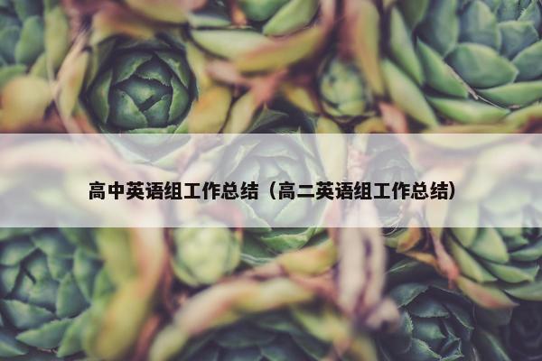 高中英语组工作总结（高二英语组工作总结）