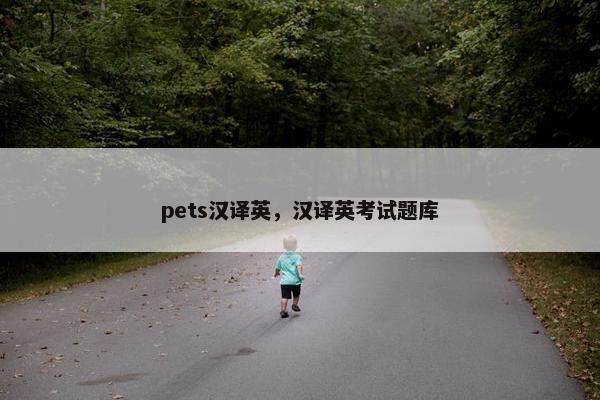 pets汉译英，汉译英考试题库