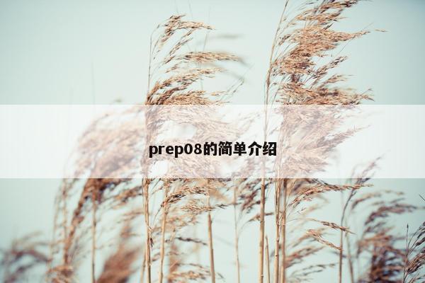 prep08的简单介绍