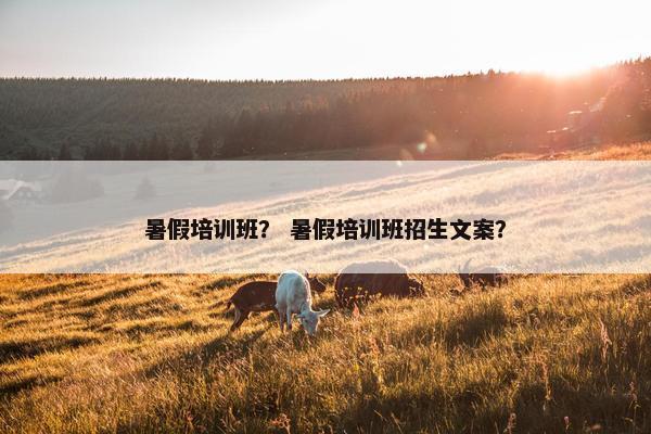 暑假培训班？ 暑假培训班招生文案？