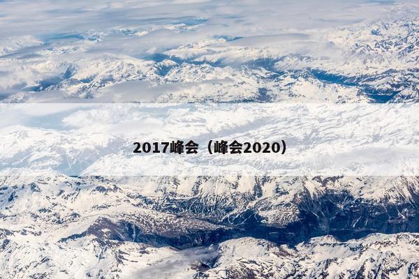 2017峰会（峰会2020）