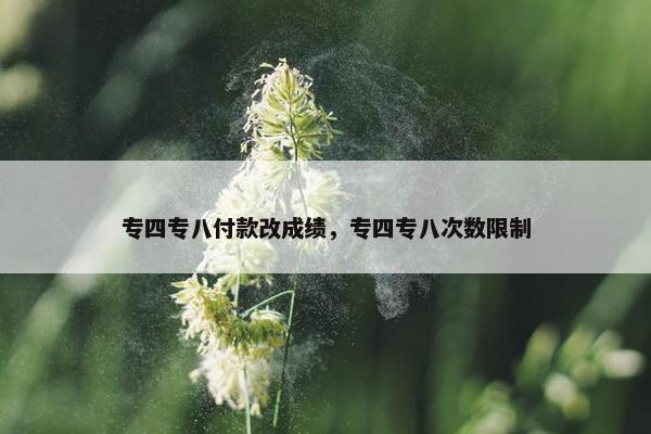 专四专八付款改成绩，专四专八次数限制