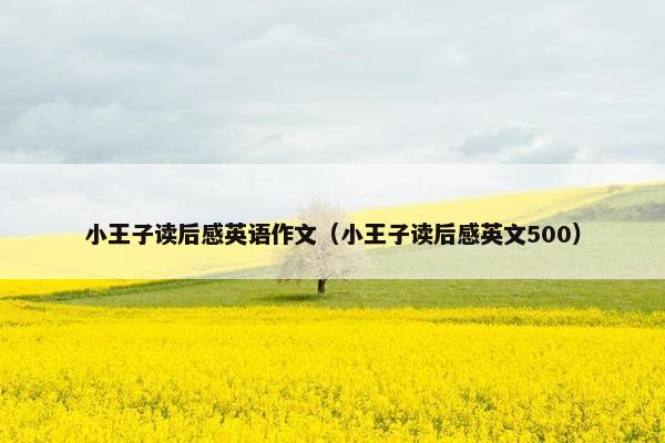小王子读后感英语作文（小王子读后感英文500）