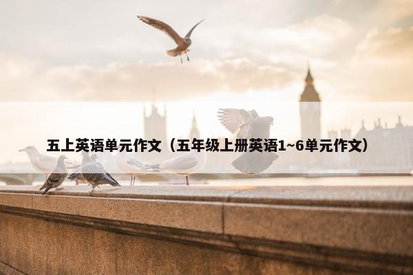 五上英语单元作文（五年级上册英语1～6单元作文）