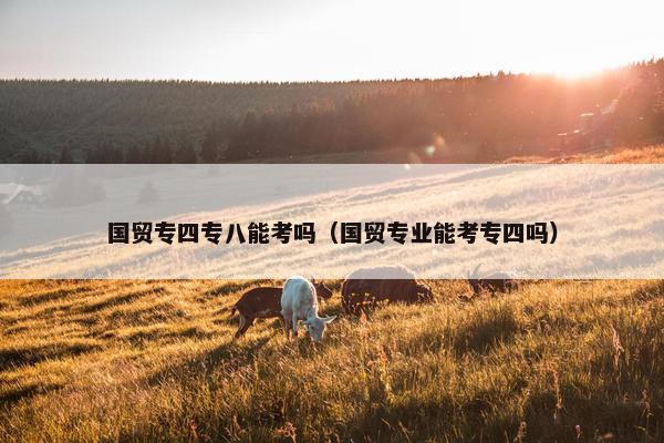 国贸专四专八能考吗（国贸专业能考专四吗）