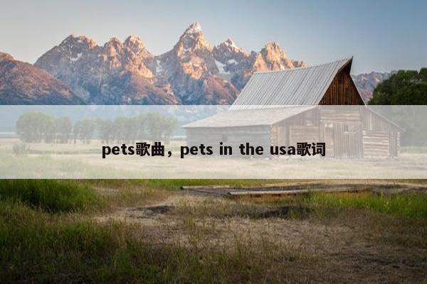 pets歌曲，pets in the usa歌词