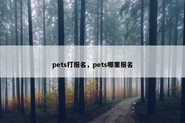 pets打报名，pets哪里报名