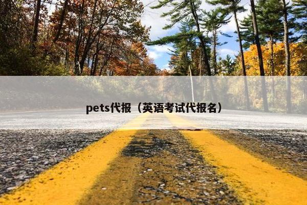 pets代报（英语考试代报名）