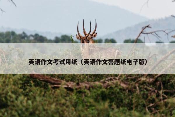 英语作文考试用纸（英语作文答题纸电子版）