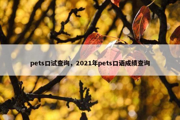 pets口试查询，2021年pets口语成绩查询