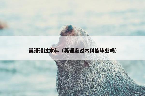 英语没过本科（英语没过本科能毕业吗）