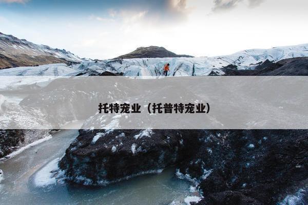 托特宠业（托普特宠业）