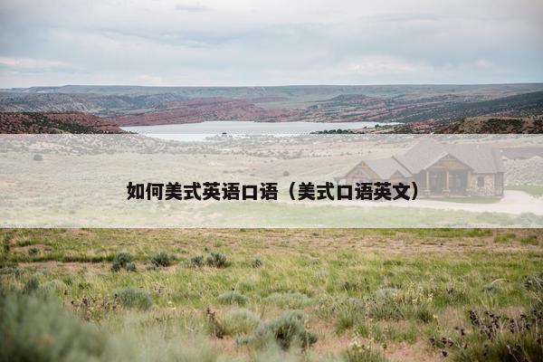 如何美式英语口语（美式口语英文）
