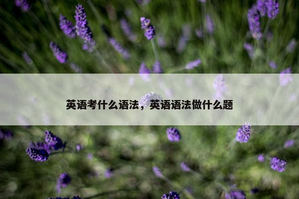 英语考什么语法，英语语法做什么题