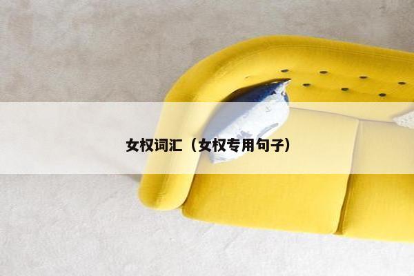 女权词汇（女权专用句子）