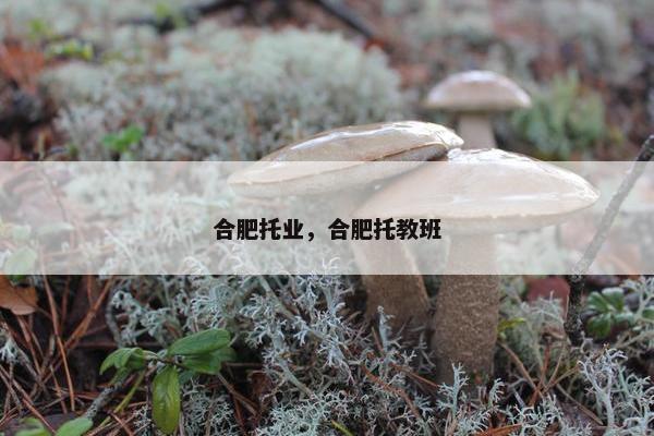 合肥托业，合肥托教班