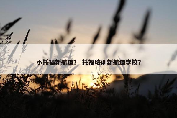小托福新航道？ 托福培训新航道学校？