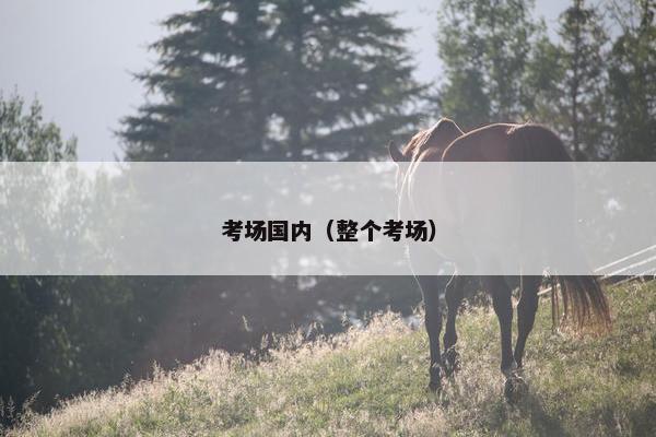 考场国内（整个考场）