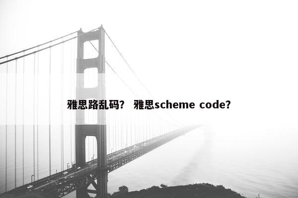雅思路乱码？ 雅思scheme code？