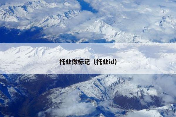 托业做标记（托业id）