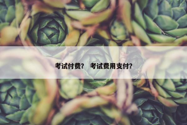 考试付费？ 考试费用支付？