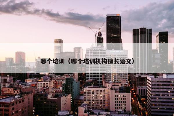 哪个培训（哪个培训机构擅长语文）