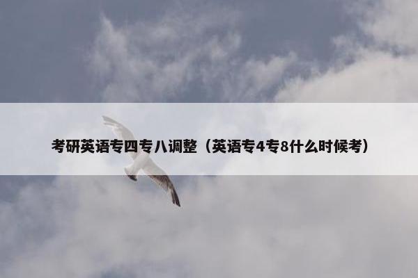 考研英语专四专八调整（英语专4专8什么时候考）