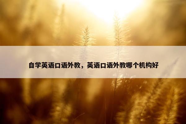 自学英语口语外教，英语口语外教哪个机构好
