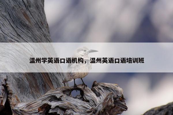 温州学英语口语机构，温州英语口语培训班