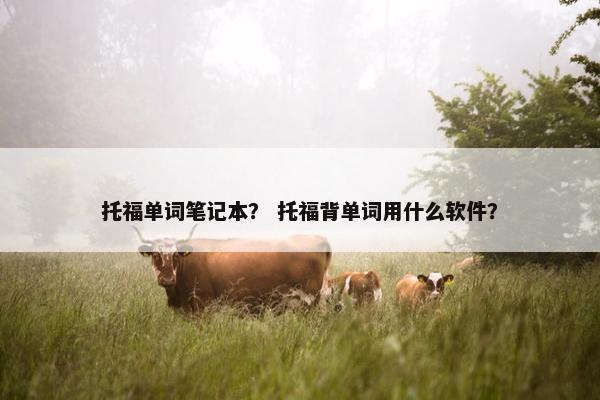 托福单词笔记本？ 托福背单词用什么软件？