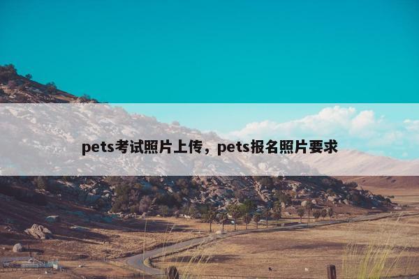 pets考试照片上传，pets报名照片要求