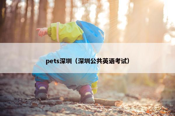 pets深圳（深圳公共英语考试）