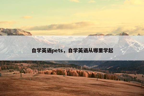 自学英语pets，自学英语从哪里学起
