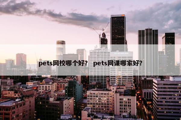 pets网校哪个好？ pets网课哪家好？