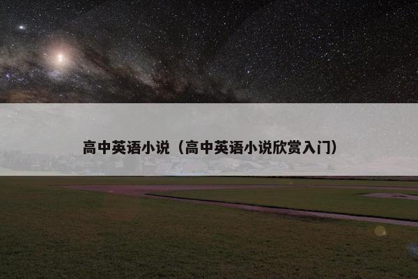 高中英语小说（高中英语小说欣赏入门）