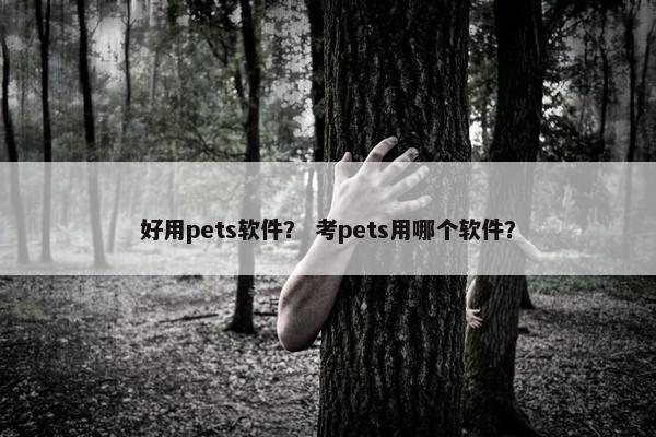 好用pets软件？ 考pets用哪个软件？