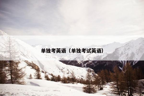 单独考英语（单独考试英语）