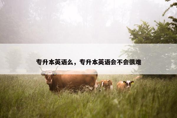 专升本英语么，专升本英语会不会很难