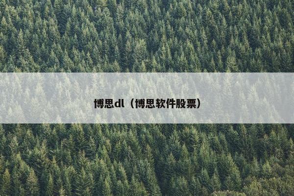 博思dl（博思软件股票）